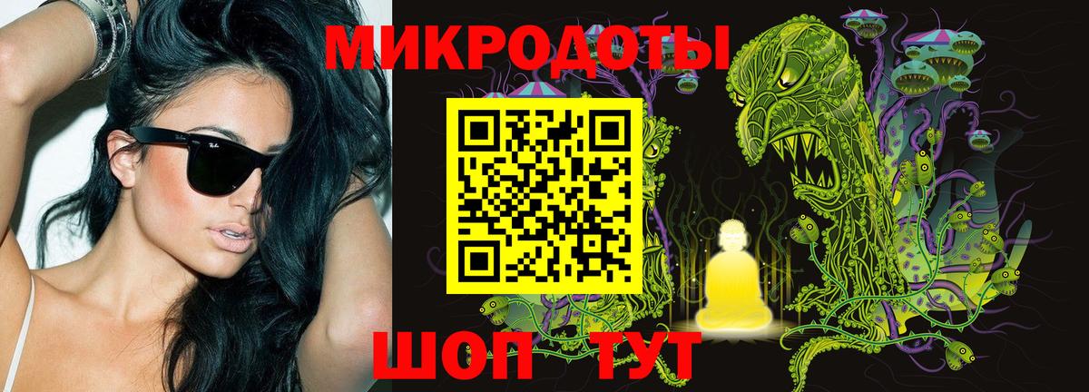 Советская Гавань  Псилоцибиновые грибы Psilocybine cubensis  Вход с VPN 